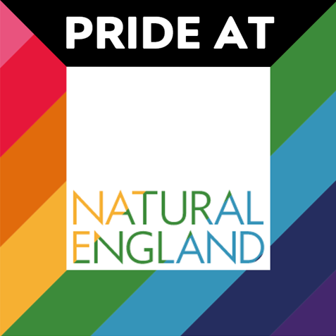 A square graphic with 'PRIDE AT' in white on a black banner. Below, a small white square contains 'Natural England' over a background of diagonal Pride flag stripes